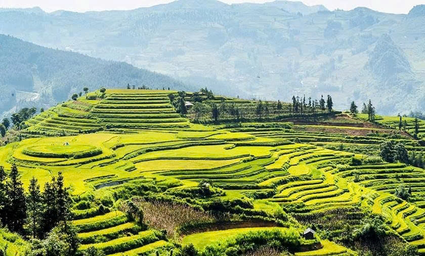 Bắc Hà tưng bừng Festival “Nghiêng say mùa Thu” 2025 với chuỗi hoạt động đặc sắc vùng cao