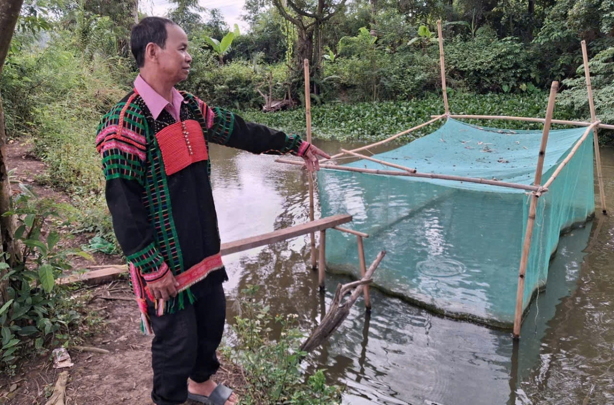 Ông Y Dhiam Bdap Trưởng,Chi hội trưởng người cao tuổi Buôn Kpung tích cực tang gia sản xuất. 