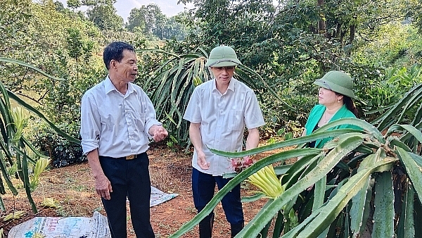 Một số vấn đề về kinh tế bạc ở Việt Nam hiện nay