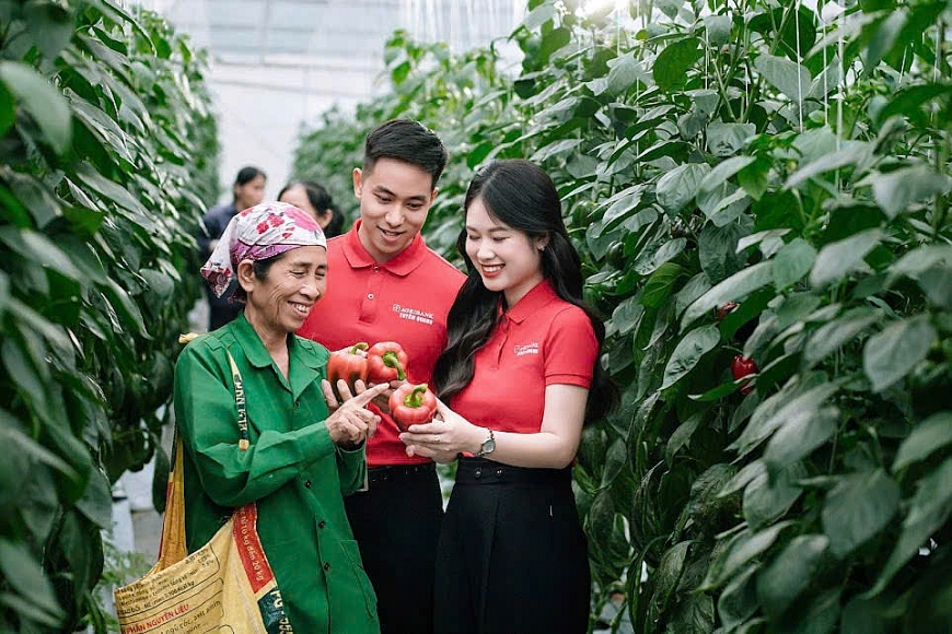 Agribank tạo mọi điều kiện, giúp người nông dân thoát nghèo, mang lại năng suất cao hơn trên chính cảnh đồng của mình. 