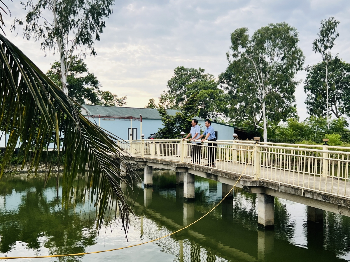 Thương binh cao tuổi thu lãi hàng tỷ đồng từ “trang trại hố bom”