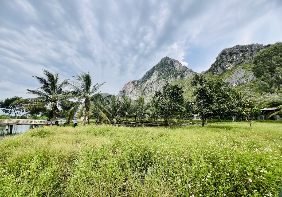 Thương binh cao tuổi thu lãi hàng tỷ đồng từ “trang trại hố bom”