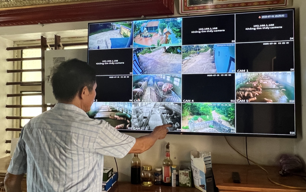 Thương binh cao tuổi thu lãi hàng tỷ đồng từ “trang trại hố bom”