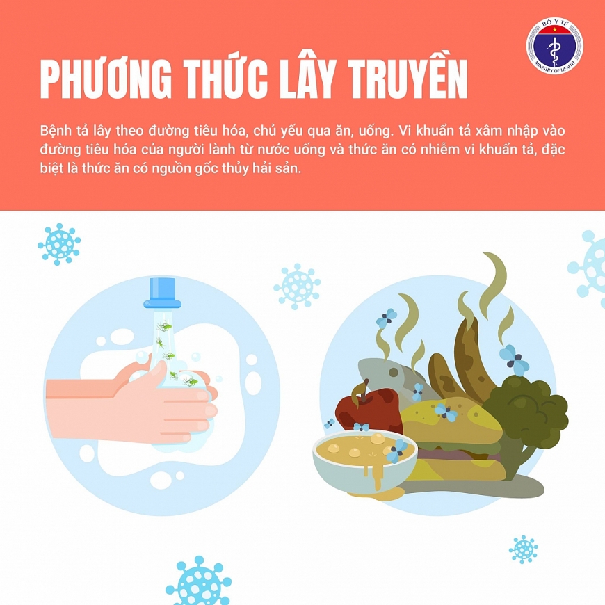 Bộ Y tế cảnh báo nguy cơ dịch bệnh tả, khuyến cáo người dân chủ động phòng tránh