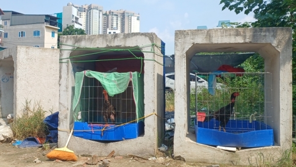 Chủ tịch phường Từ Liêm chỉ đạo rà soát, bảo đảm quyền lợi hợp pháp của người dân