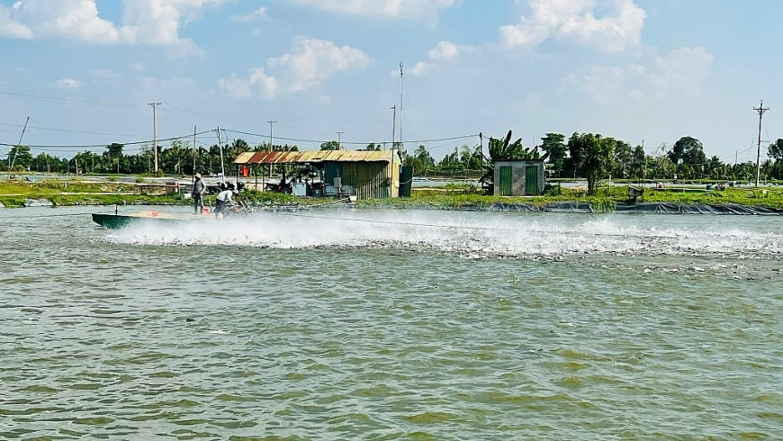 Giải quyết các vấn đề môi trường, phát triển nuôi trồng thủy sản bền vững