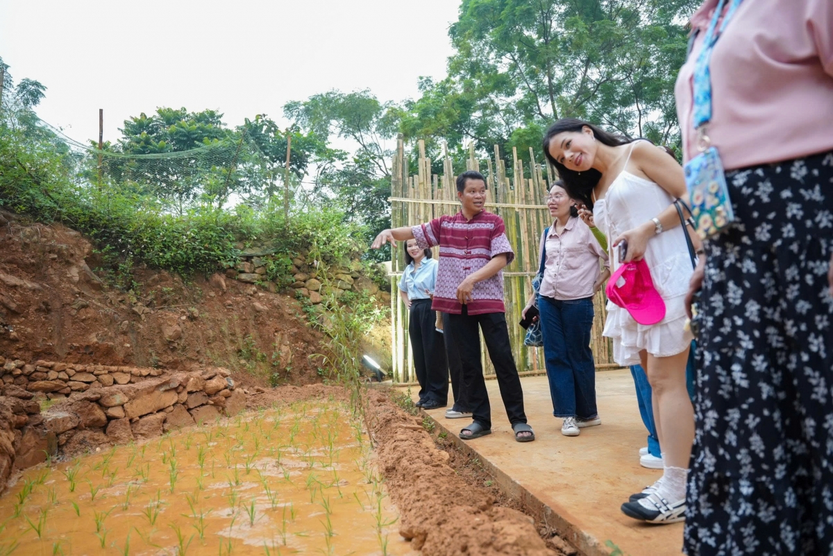 Người dân địa phương hướng dẫn du khách trải nghiệm công đoạn trồng lúa truyền thống – một phần trong hành trình khám phá văn hóa lúa nước tại triển lãm “Man Kháu – Rice Up”.