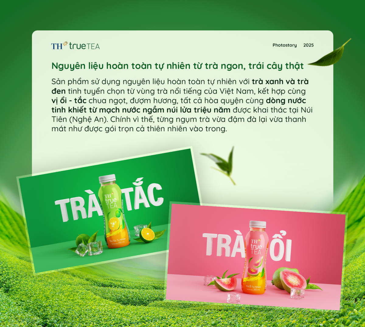 ‘Xanh’ để khoẻ - Thế hệ trẻ ngày càng đề cao những giá trị từ thiên nhiên