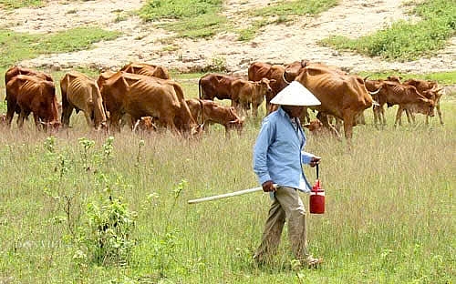 NCT khuyết tật làm giàu