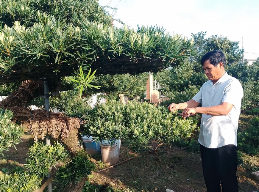 Ông Vũ Đức Thuận chăm sóc cây cảnh làm giàu