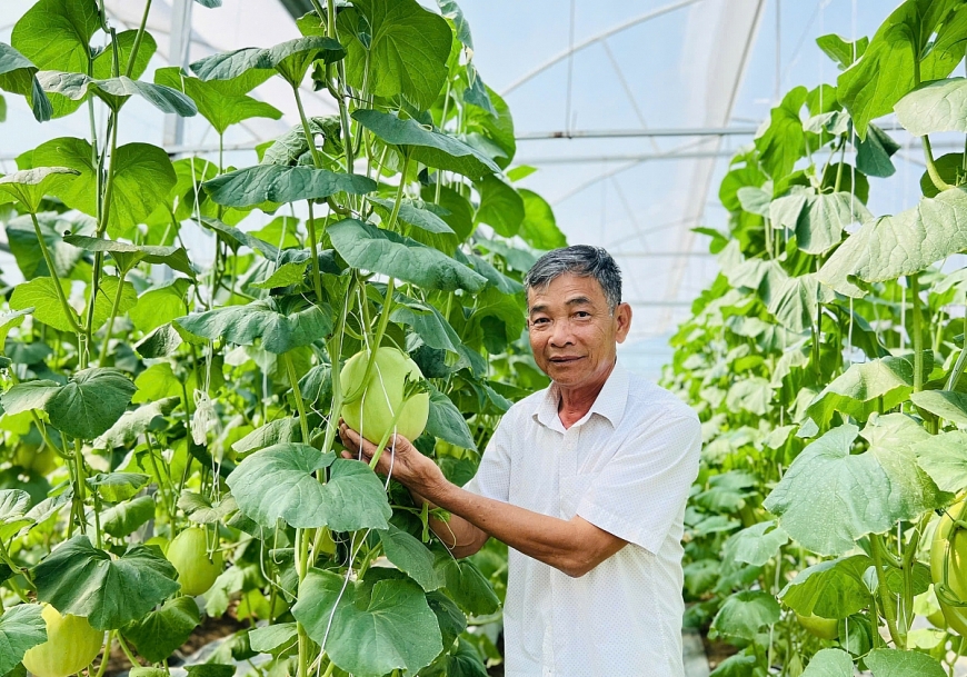 Ông Tống Viết Vinh bên khu nông nghiệp công nghệ cao. 