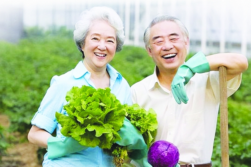 Nghệ thuật yêu tuổi già: Khi tình thân, sức khỏe và cảm xúc hòa quyện