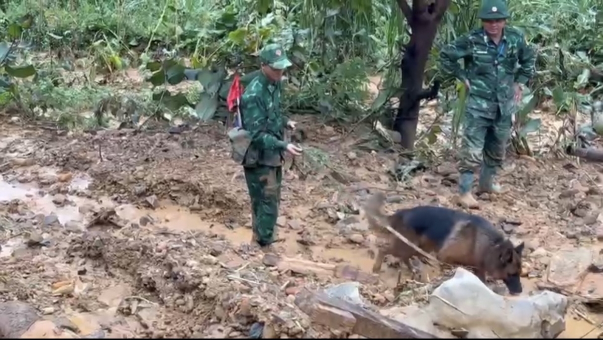 Cán bộ, chiến sĩ Bộ đội Biên phòng dắt theo chó nghiệp vụ tìm kiếm 04 nạn nhân mất tích 