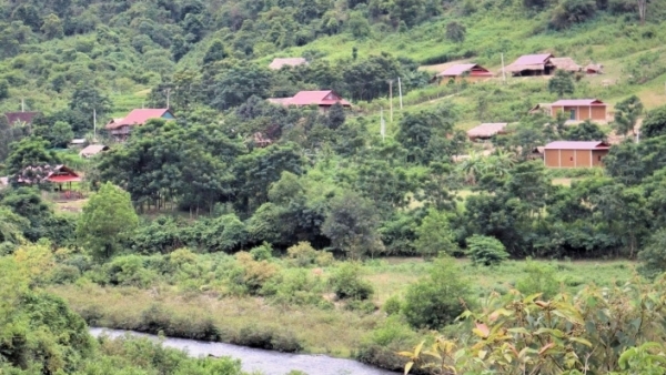 Niềm vui của những người cao tuổi ở đại ngàn Pù Mát