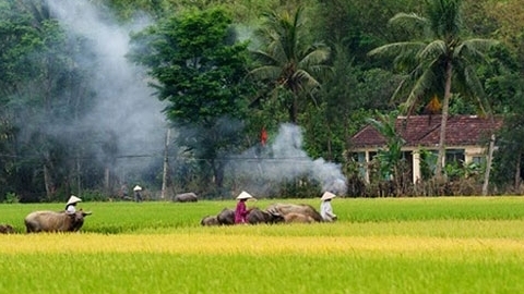 Bình thơ - Bài thơ "Chiều quê" của Nguyễn Minh Thuận