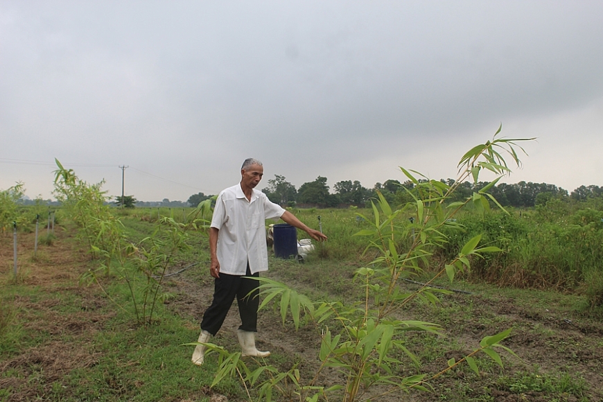 Mô hình trang trại tổng hợp của gia đình ông Lê Khắc Phú.