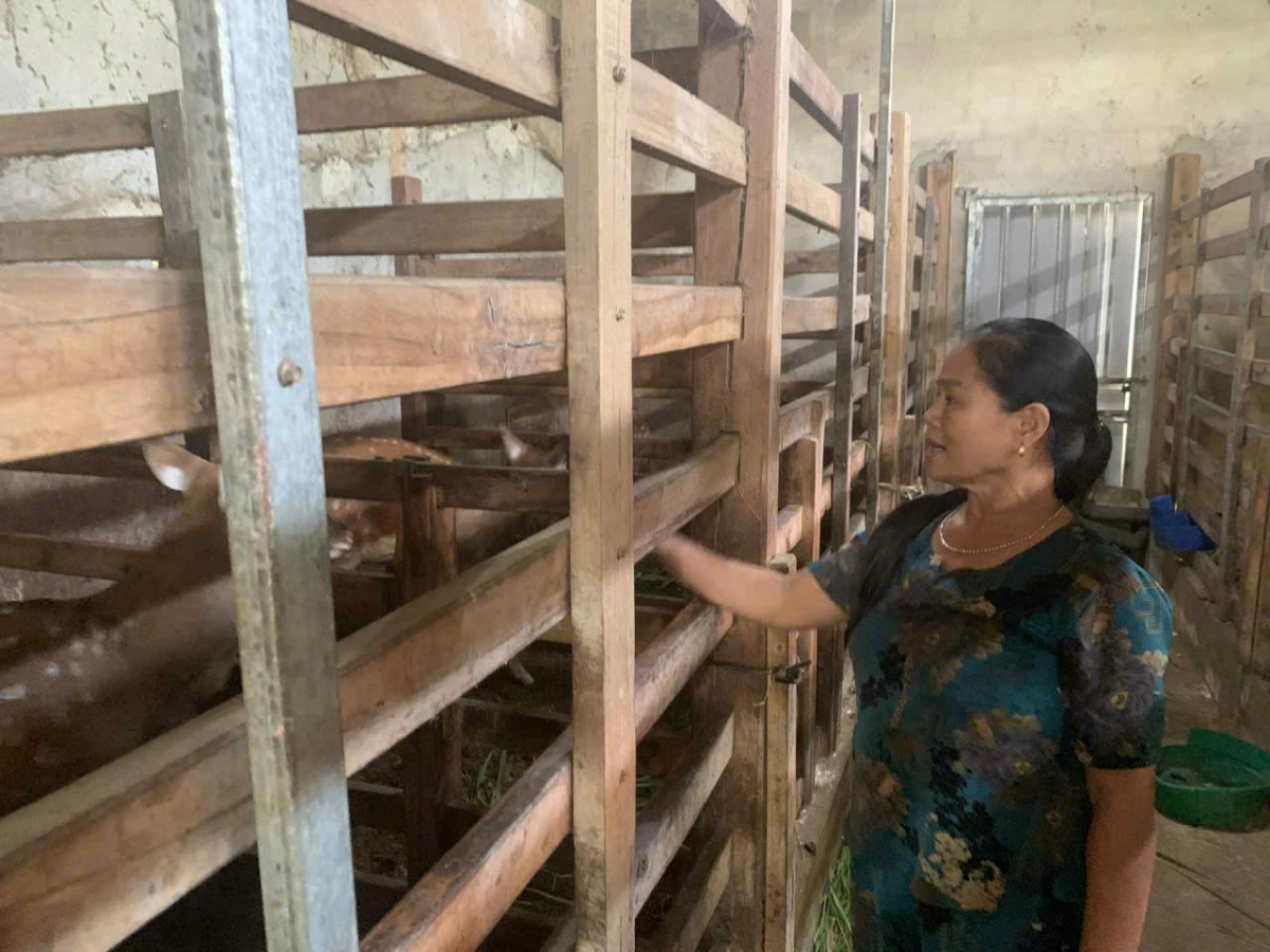 Vợ của ông nông dân cũng là một người đảm đang, cần mẫn