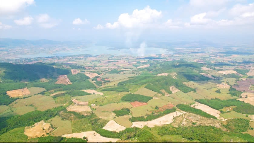 Đất rừng sản xuất bị lấn chiếm