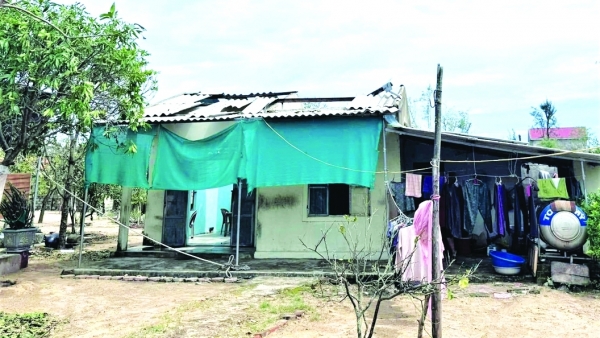 Cần lắm sự sẻ chia với gia cảnh của người vợ liệt sĩ cùng con trai bị bệnh tâm thần