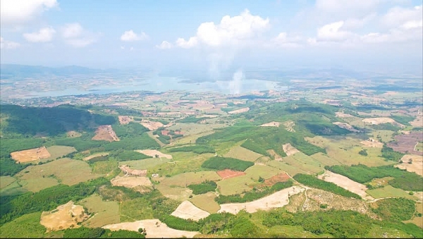 Đất rừng sản xuất bị lấn chiếm, nhiều năm khiếu nại vẫn chưa được giải quyết dứt điểm