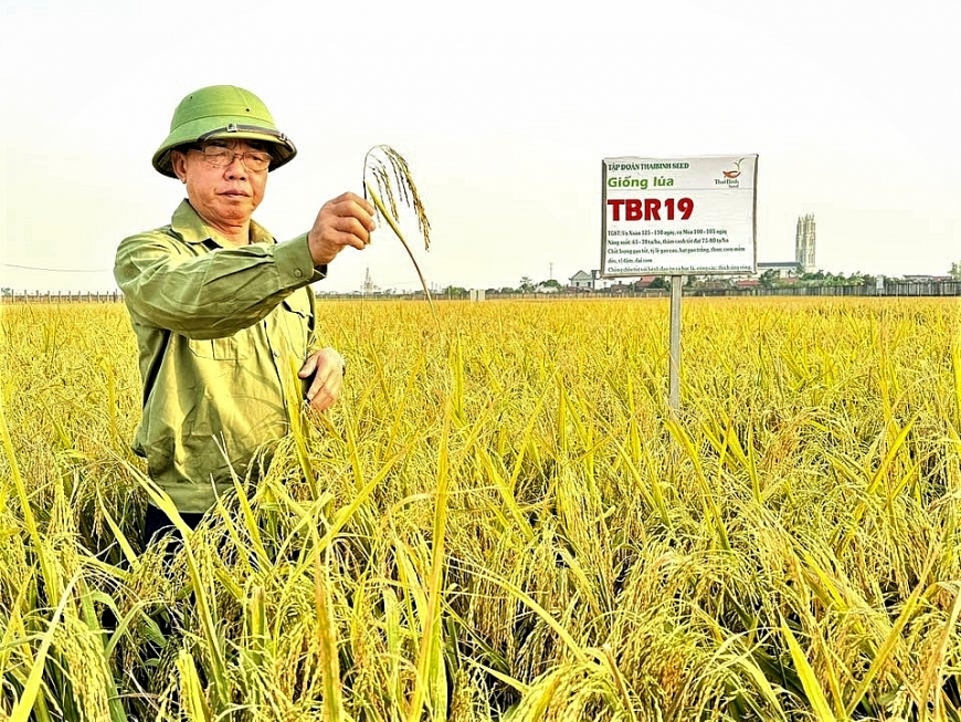 Đổi mới tư duy về việc làm cho người cao tuổi