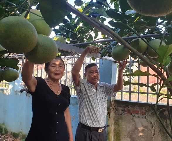 Niềm vui tuổi già với cuộc sống đời thường của vợ chồng ông Thủy