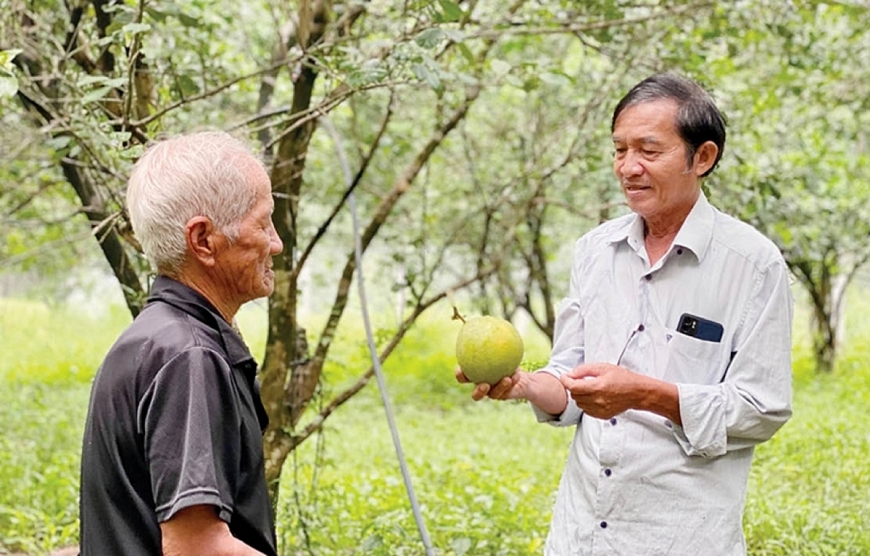 Người cao tuổi TP Huế: Năng động, sáng tạo trong phát triển kinh tế