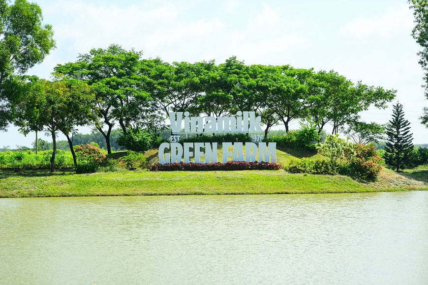 Trang trại bò sữa công nghệ cao của Vinamilk – một mắt xích quan trọng trong chuỗi sản xuất khép kín từ trang trại đến ly sữa, minh chứng cho tầm nhìn phát triển bền vững và cam kết mang đến nguồn sữa tươi chất lượng cho người Việt