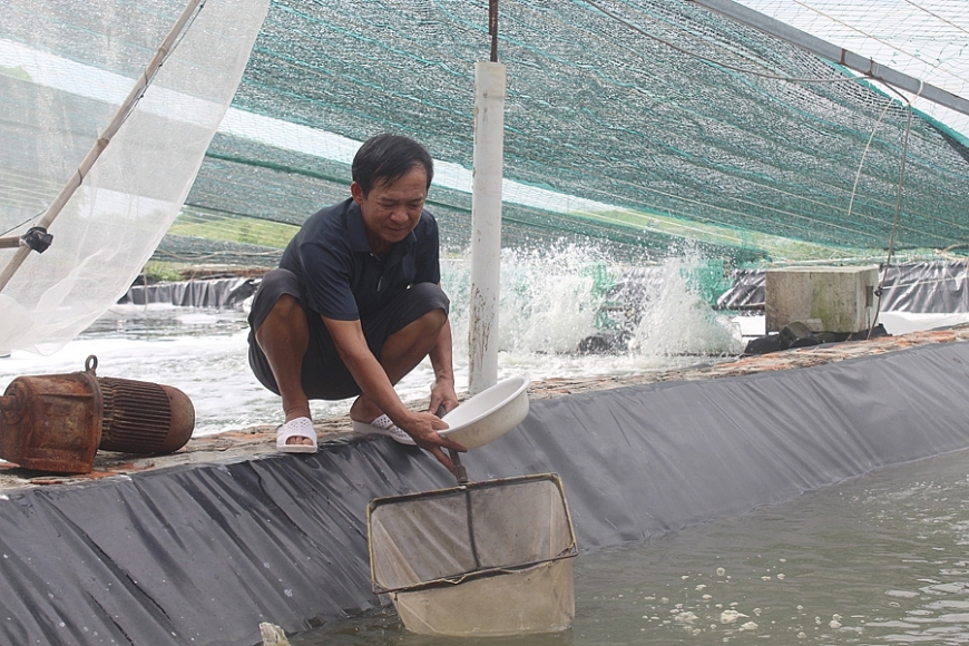 Mạnh dạn nuôi tôm công nghệ cao giúp nông dân Thanh Hóa đổi đời
