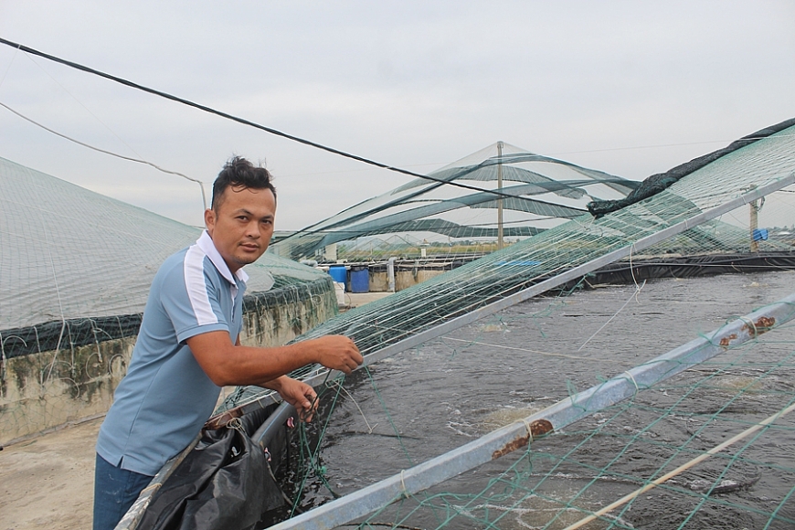 Mạnh dạn nuôi tôm công nghệ cao giúp nông dân Thanh Hóa đổi đời