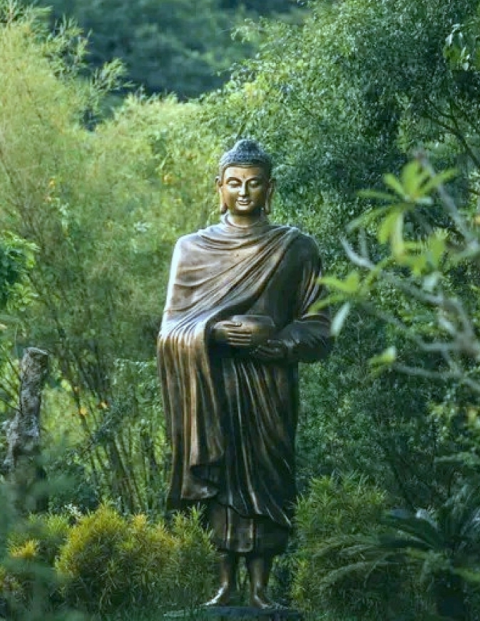 Rừng thiền ở chốn Huyền Không...