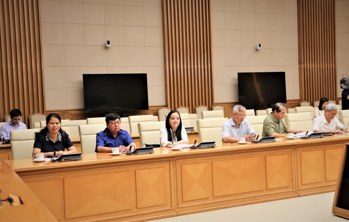 Các đại biểu Hội NCT Việt Nam tham dự cuộc họp