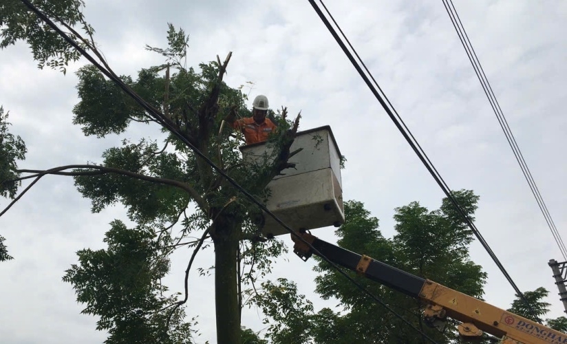 Công ty Điện lực Hưng Yên luôn nỗ lực đảm bảo an toàn hành lang lưới điện