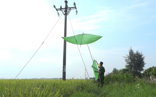 Công ty Điện lực Hưng Yên luôn nỗ lực đảm bảo an toàn hành lang lưới điện