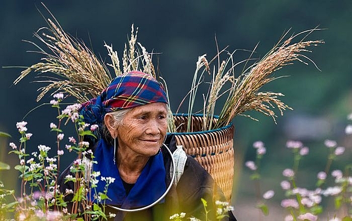 Bình thơ - Bài thơ "Mùi hương của mẹ" của Nguyễn Bá Thuyết