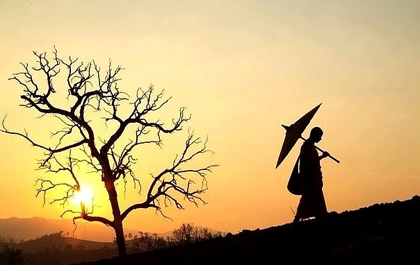 Chuyến tàu cuộc đời Chuyến tàu cuộc đời