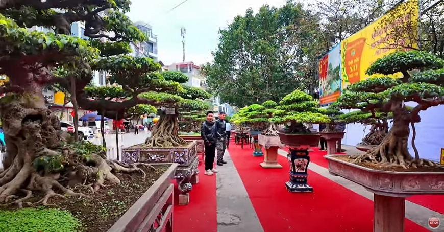 CLB sinh vật cảnh làng Triều Khúc.