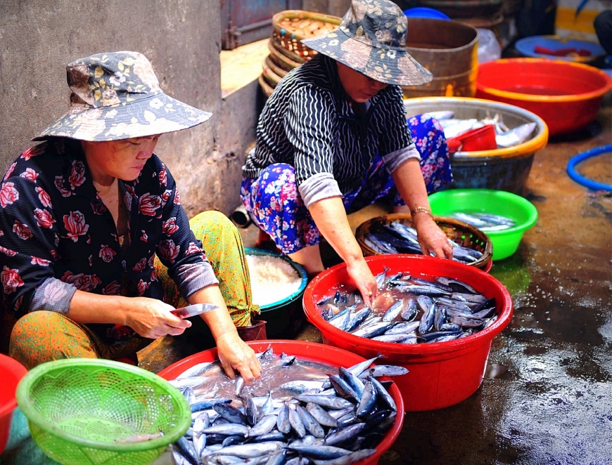 Long đong phận cá, phận người