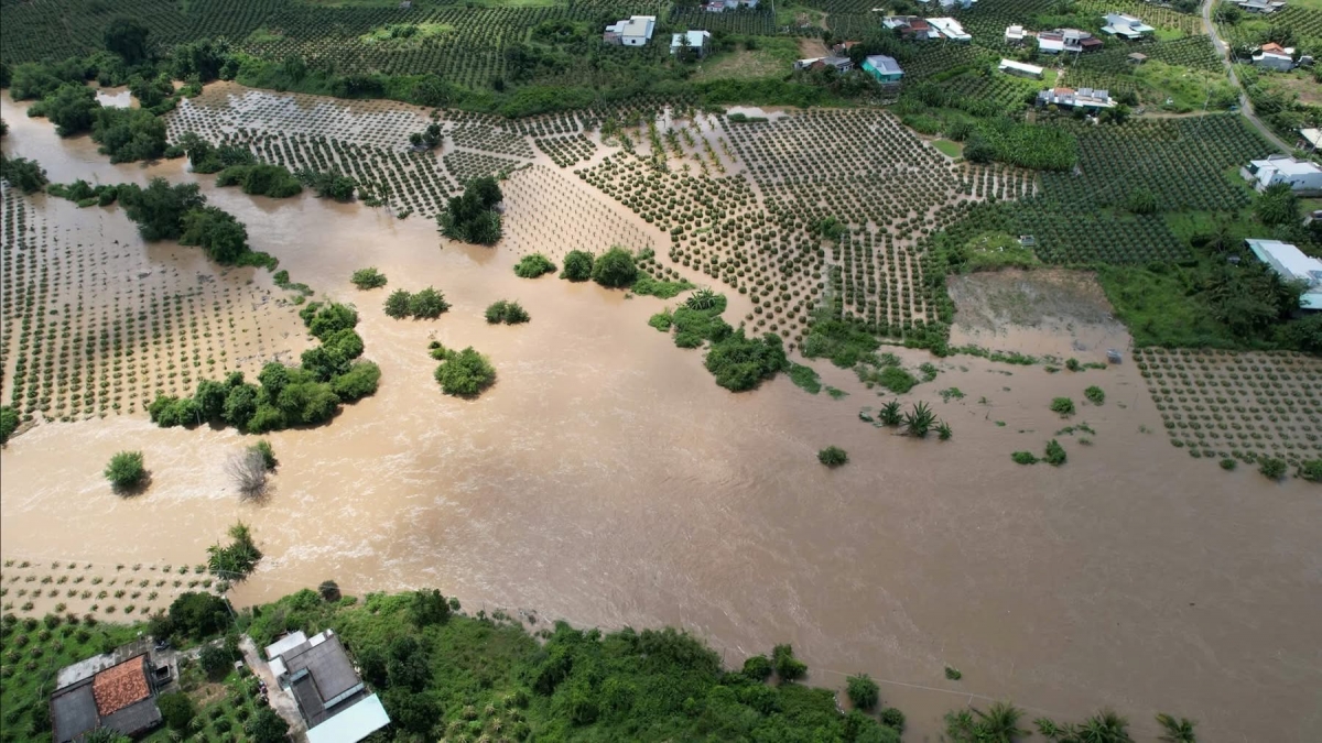 Vùng nông thôn khu vực Đông Nam ở Lâm Đồng 