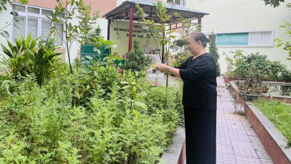 Triển khai chính sách về chăm sóc sức khỏe người cao tuổi