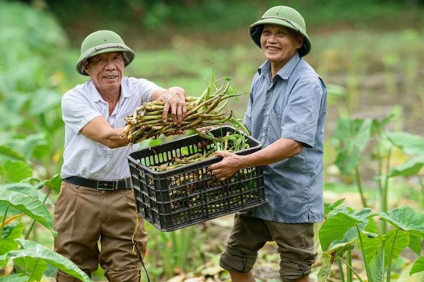 Câu lạc bộ Liên thế hệ Tự giúp nhau - Điểm tựa của người cao tuổi