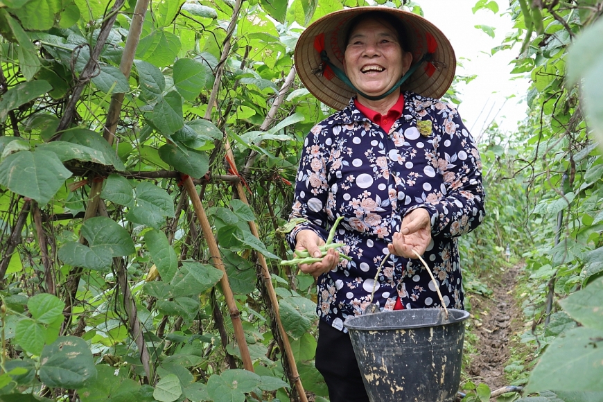 Câu lạc bộ Liên thế hệ Tự giúp nhau - Điểm tựa của người cao tuổi