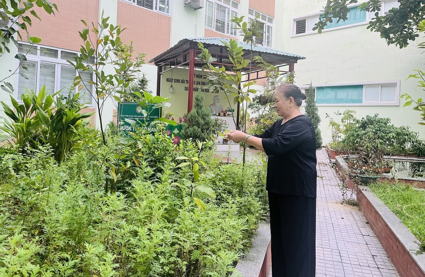 Triển khai chính sách về chăm sóc sức khỏe người cao tuổi