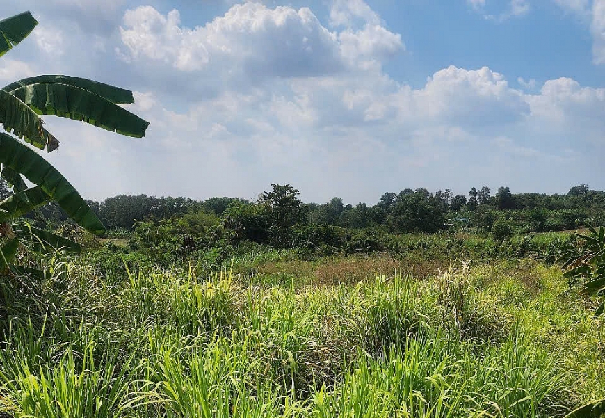 Tòa án đã quyết định đình chỉ giải quyết vụ án