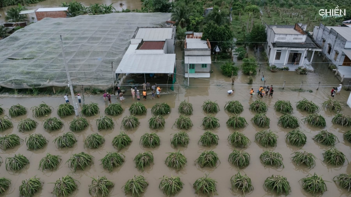 Ngập nặng, nhiều hộ dân bị cô lập ở Hàm Thắng, Lâm Đồng