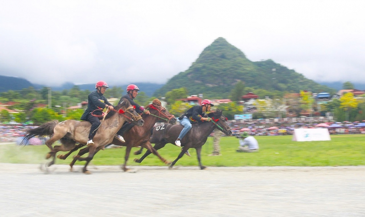 Giải đua ngựa xã Bắc Hà