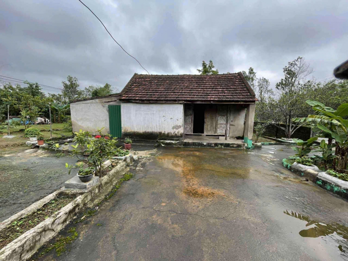 Căn nhà nhỏ liêu xiêu của người mẹ 93 tuổi tại xã Kim Liên , tỉnh Nghệ An