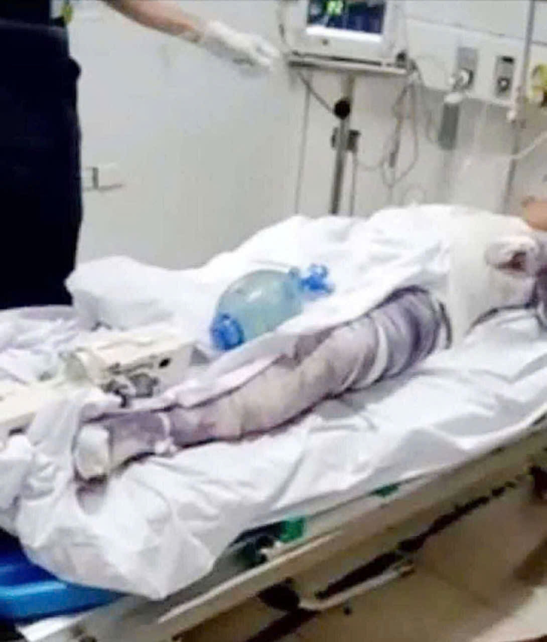 Con trai của người mẹ 93 tuổi vẫn đang trong tình trạng thập tử nhất sinh