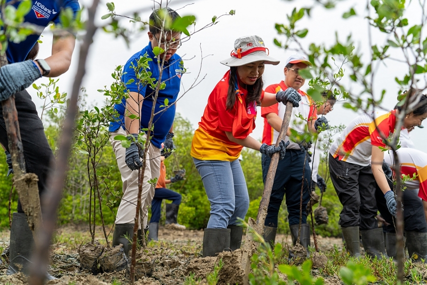 Hàng trăm mầm xanh đã được trồng mới 