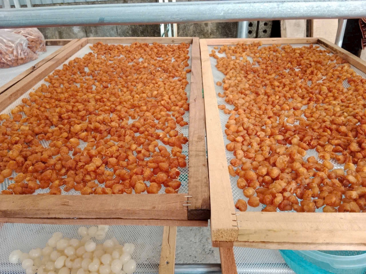 Sản phẩm long nhãn sử dụng lò sấy do Mai Tâm Phương snar xuất cho chất lượng tốt, màu sắc đẹp